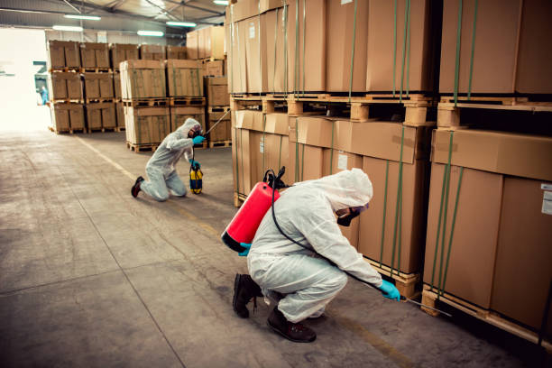 Best Cockroach Control Services  in Shoh, IL