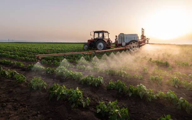 Wildlife Control Services in Shiloh, IL