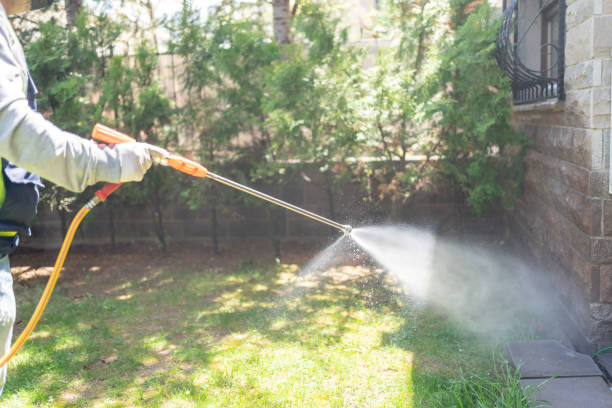 Best Pest Control Near Me in Shiloh, IL