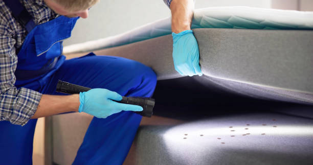 Best Pest Control Near Me  in Shoh, IL