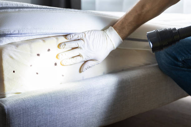 Best Mosquito Control Services  in Shoh, IL
