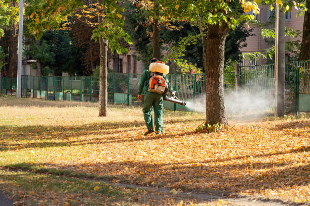 Best Exterminator Services  in Shoh, IL