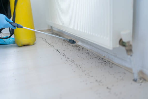 Best Pest Inspection Near Me  in Shoh, IL